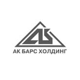 БАРС ХОЛДИНГ